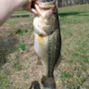 Meet your Posher, Bryce